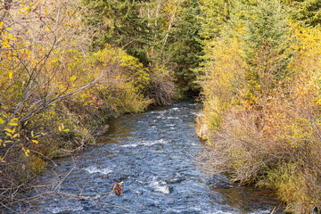 Autumn view of Spearfish Creek running through the scenic Spearfish Canyon in South Dakota
