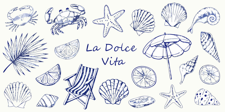 La dolce vita italian phrase with hand drawn beach elements like seashells crabs starfish palm leaf and citrus slices