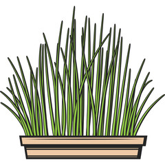 A Lush Green Potted Plant With Tall Slender Stalks And Light Brown Container Illuminated With Soft Natural Light And Isolated On A White Background.