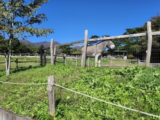 那須高原の牧場とロバと茶臼岳