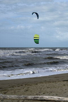 Kitesurfing at italian beach. Some kitesurfers at Torre del Lago beach, tuscany, italy. Some are junping out of the water. Mediterraenean Sea.