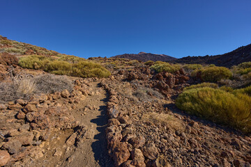 Pico del Teide and lava fields