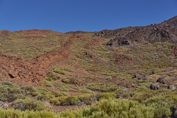 Trail through lava fields in Teide National Park