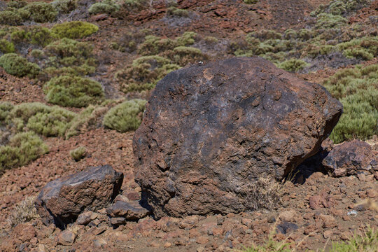 Fototapeta Lava bombs on Teide slopes in Tenerife