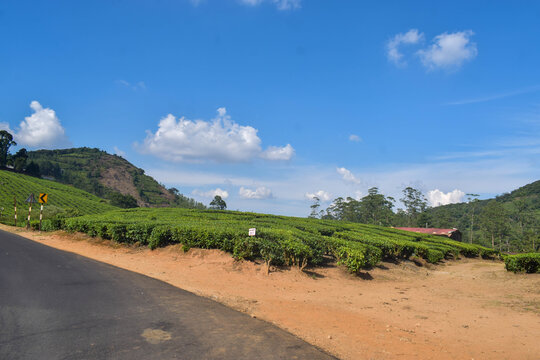 The route to Meghamalai, also known as the High Wavy Mountains, is a hill station in Tamil Nadu's Theni district, located in the Western Ghats