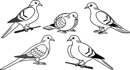 Collection of dove and pigeon line art. Simple bird outline drawing vector set for logo or design.