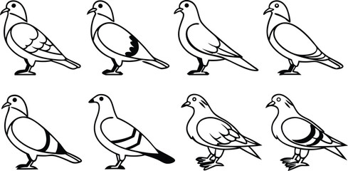 Set of eight pigeon birds vector illustration. Collection of dove line art icons