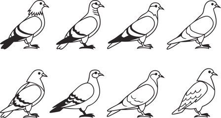 Set of eight pigeon birds vector illustration. Collection of dove line art icons