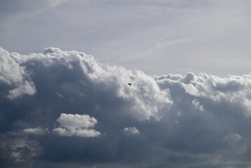 Little egret flying over italian beach. Egretta garzetta flying over Torre del lago beach. Cloudy background. Blue sky.