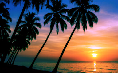 sunset over the beach