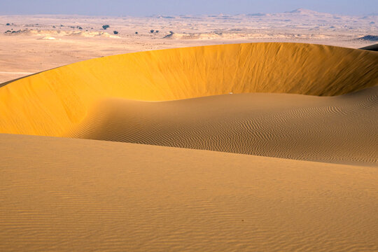 Doha, Qatar - A vast desert landscape with golden sand dunes stretching to the horizon, soft wind-blown textures on the sand, Inland Sea Qatar