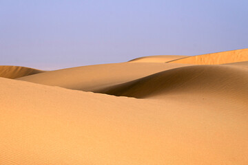 Doha, Qatar - A vast desert landscape with golden sand dunes stretching to the horizon, soft wind-blown textures on the sand, Inland Sea Qatar