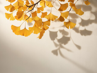柔らかな秋の光に映る黄金色のいちょうの葉のミニマル背景
