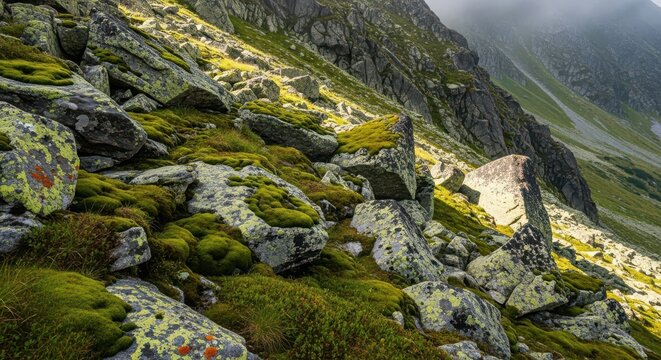 Rocky mountain slope covered in moss and vegetation under sunlight, scenic landscape