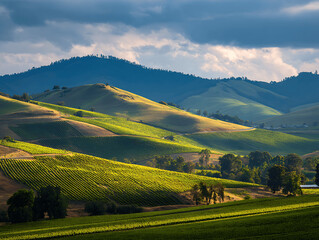 Obraz premium Green summer mountain panorama with sky, grass, and trees in the Alps