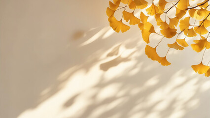 柔らかな秋の光に映る黄金色のいちょうの葉のミニマル背景
