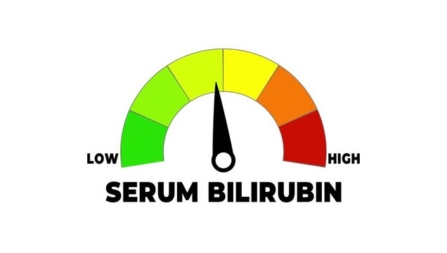Animated serum bilirubin level meter moving from high level to normal level, ideal for concepts related to liver function, jaundice treatment, and medical