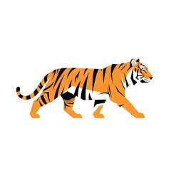 Tiger Vector Illustration — Walking Tiger Design with Orange and Black Stripes on White Background
