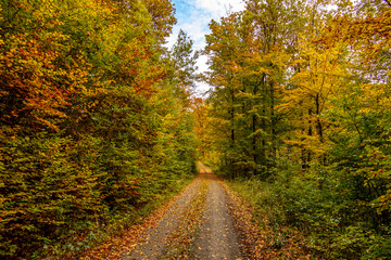 Obraz premium Eine wunderschöne kleine Wanderung durch den Herbst im Südwesten des Thüringer Waldes rund um Schmalkalden - Thüringen - Deutschland