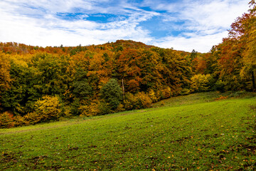 Naklejka premium Eine wunderschöne kleine Wanderung durch den Herbst im Südwesten des Thüringer Waldes rund um Schmalkalden - Thüringen - Deutschland