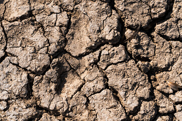 Dry cracked earth texture image for drought season and climate change visual aid and soil erosion concept