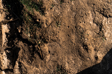 Dirt ground texture surface with grass and dry soil for natural design and outdoor environment