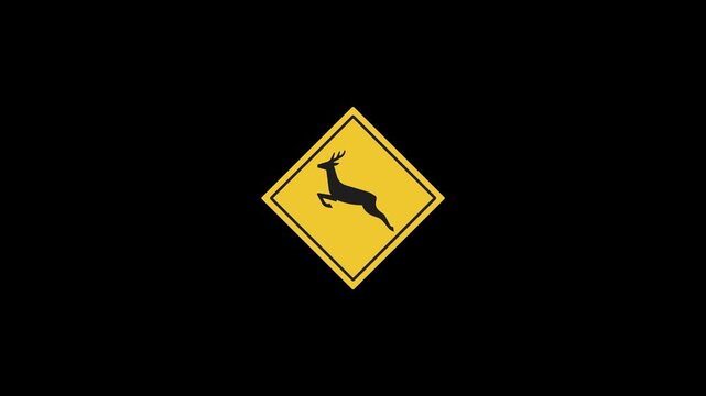 black and yellow traffic warning sign with little dear, Eudyptula minor, warning of birds crossing the road