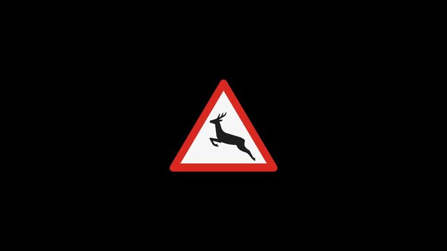 black and yellow traffic warning sign with little dear, Eudyptula minor, warning of birds crossing the road 4k animation