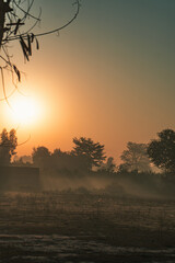 Naklejka premium Sunrise landscape photography with golden light over trees and field in the morning time scene view