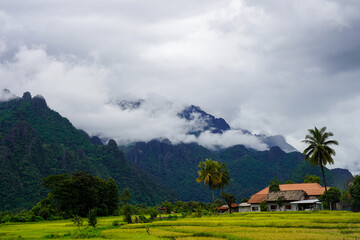Traditional house and palm trees in rice field with misty karst mountains, Vang Vieng, Laos