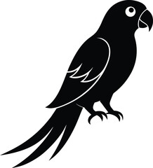 Parrot Silhouette