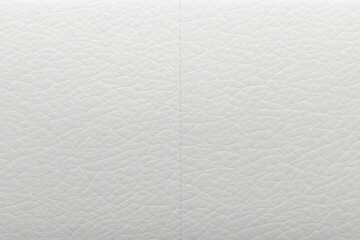 Obraz premium Leather Sofa Texture Seamless Background, White Leathers Upholstery Pattern