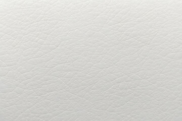 Obraz premium Leather Sofa Texture Seamless Background, White Leathers Upholstery Pattern