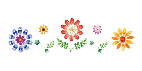 Colorful blooming flowers and green leaves on white background