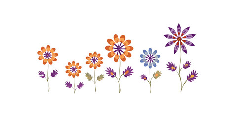 Colorful blooming flowers with purple and orange petals