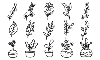 Black hand drawing of potted plants and leaves. Vector illustration
