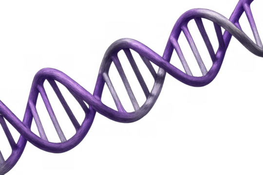 Purple dna helix structure representing genetics, biology, research, and scientific discovery on a transparent background