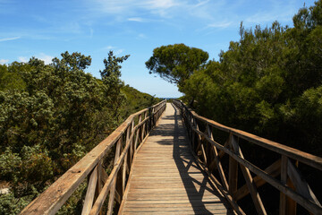 The area of Es Com&uacute; de Muro - a protected system of sand dunes (Mallorca, Spain)
