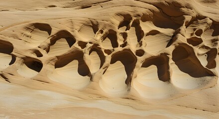 The intricate, lace-like erosion of a soft rock wall.