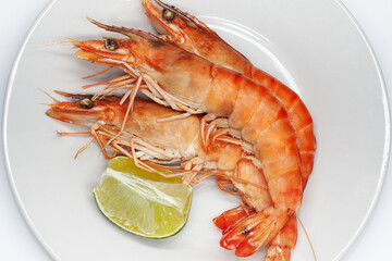 Close up of seafood on a white plate