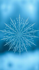 Radial frost symmetry