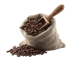 Burlap sack overflowing with roasted coffee beans and wooden scoop
