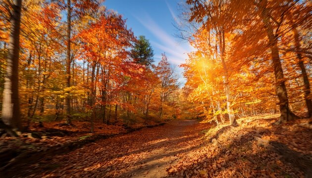 Vibrant Autumn Foliage Blurs Through A Forest Trail During A Sunny Afternoon Adventure In Nature