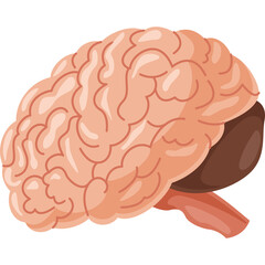 Pixelated Illustration Of A Human Brain With Cerebrum And Cerebellum In Profile View On A Transparent Background