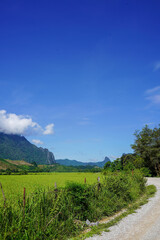 Curving gravel road beside rice fields and jungle under clear sky, Vang Vieng, Laos