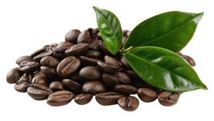 A pile of roasted coffee beans with fresh green leaves