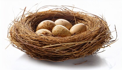 Obraz premium Nest Isolated On Transparent Background