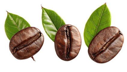 Three roasted coffee beans with green leaves on black background