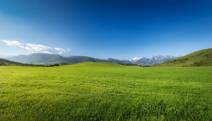 A Serene Green Meadow With A Clear Blue Sky And Distant Mountains Under A Bright Sunny Day