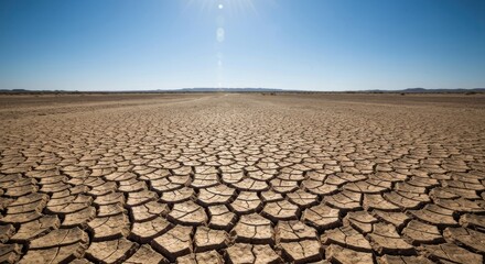 Cracked earth stretches under a clear blue sky